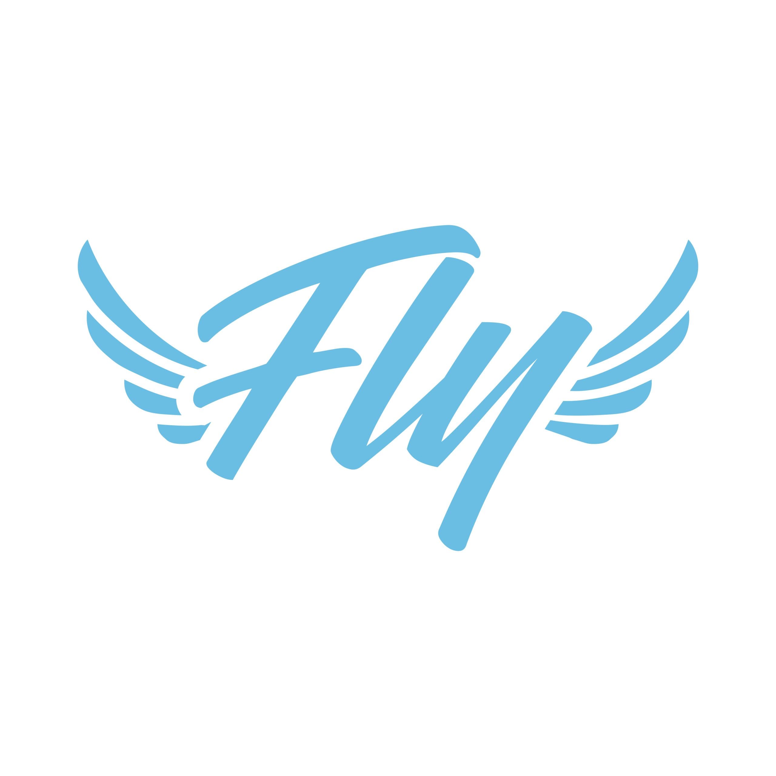 Fly