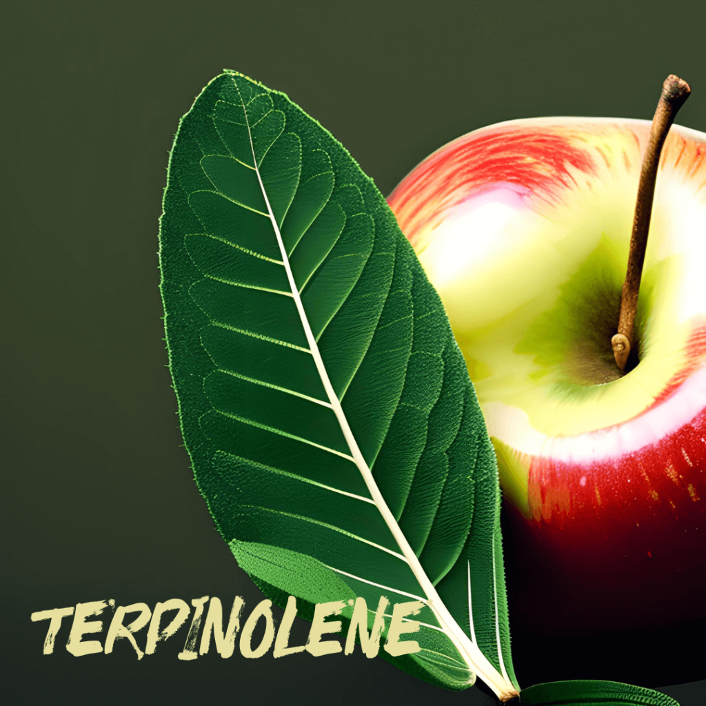 terpinolene